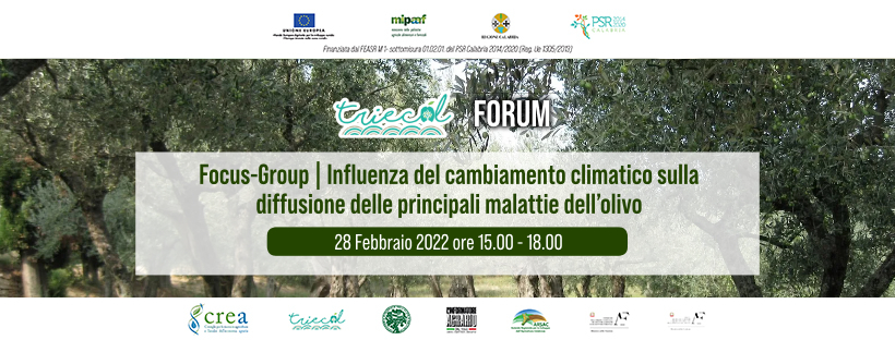 “Influenza del cambiamento climatico sulla diffusione delle principali malattie dell’olivo”