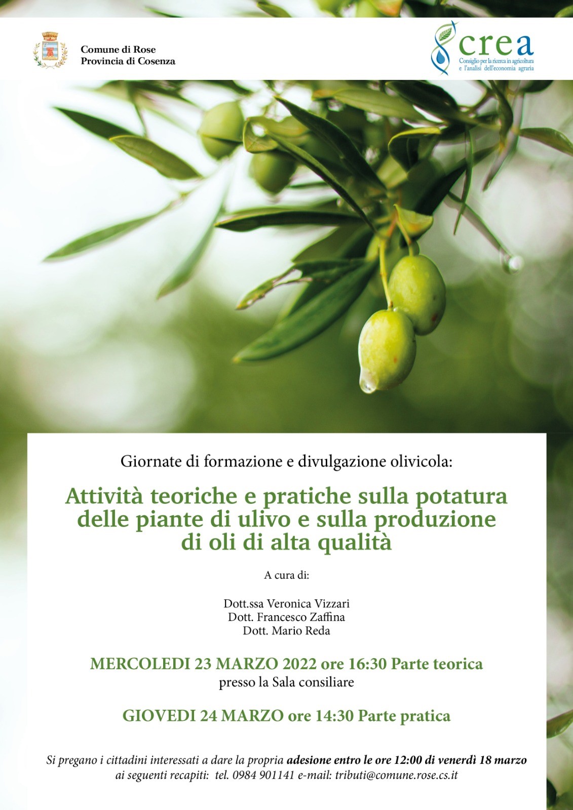 Attività teoriche e pratiche sulla potatura delle piante di ulivo e sulla produzione di oli di alta qualità