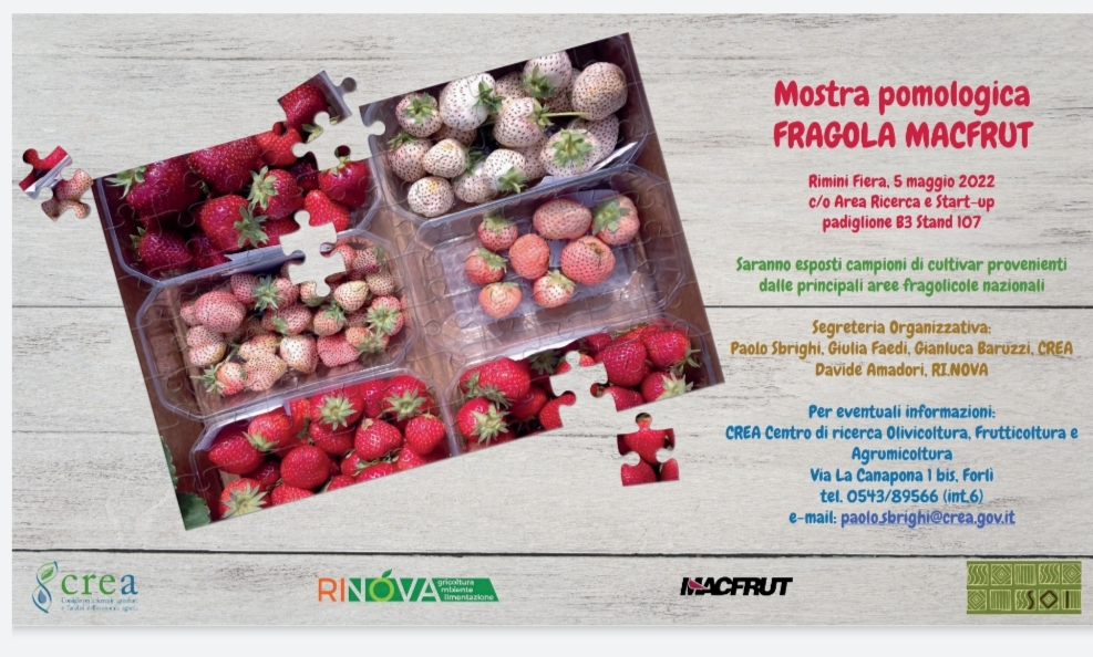Il CREA al MacFrut 2022