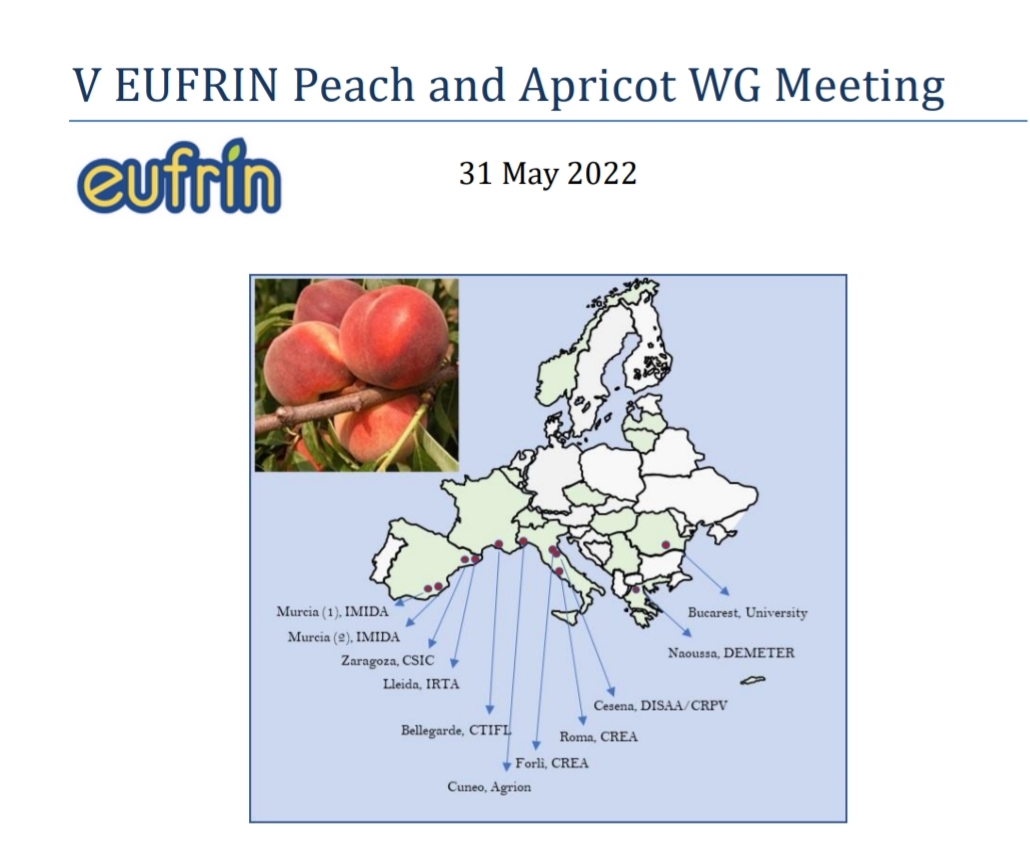 Il CREA organizza il V meeting del Working Group Apricot & Peach