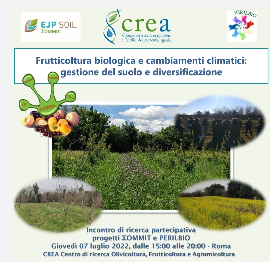 La frutticoltura biologica e cambiamenti climatici: gestione del suolo e diversificazione