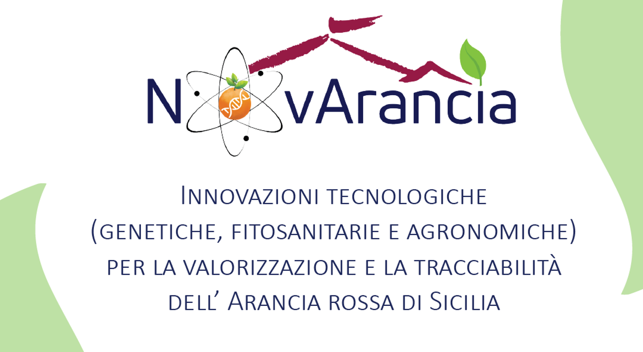 NovArancia 'Innovazioni tecnologiche (genetiche, fitosanitarie e agronomiche) per la valorizzazione e la tracciabilità dell’Arancia rossa di Sicilia'