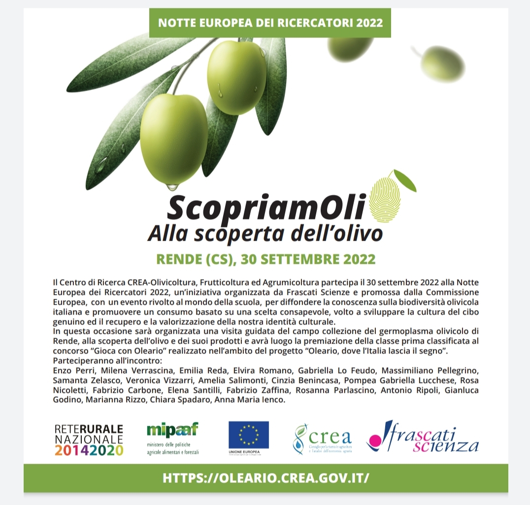ScopriamOli: alla scoperta dell'olivo