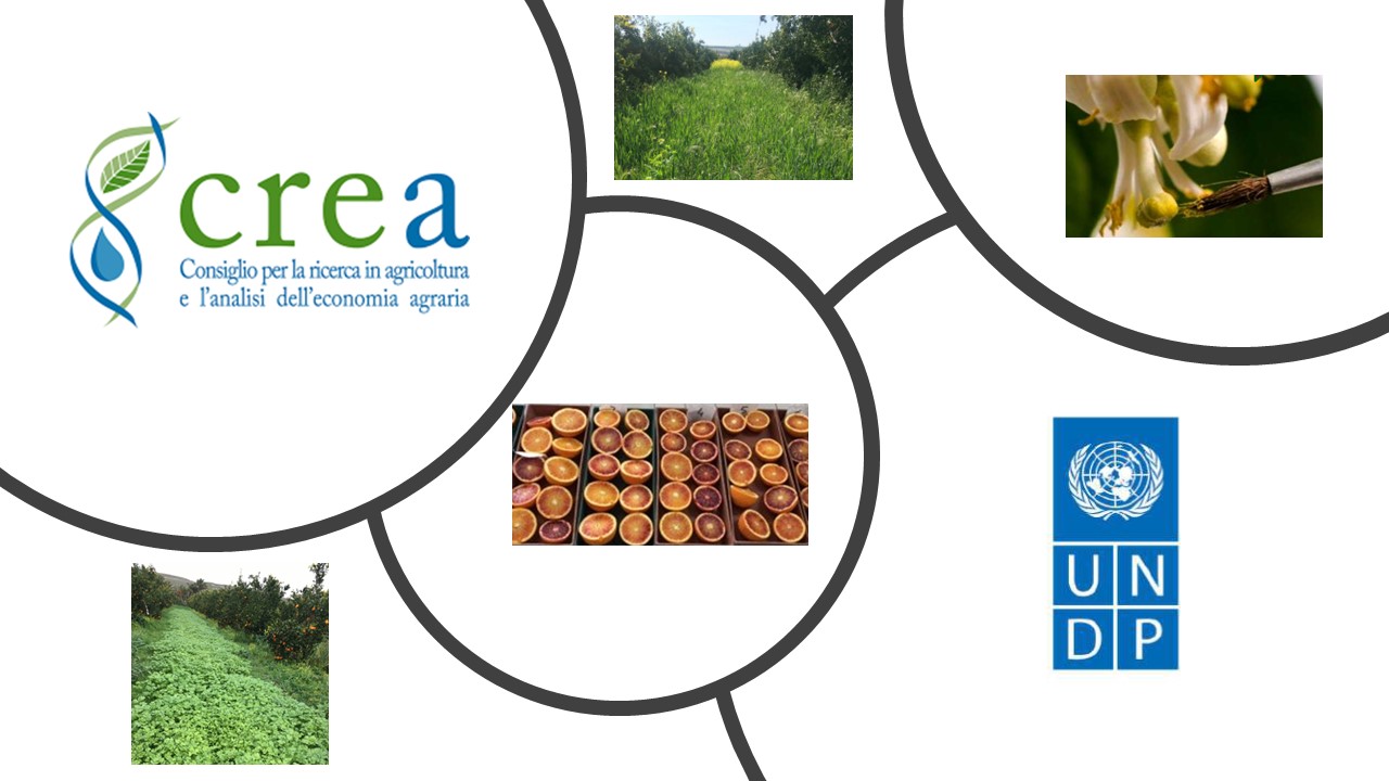 Study tour di imprenditori agricoli provenienti dall’Azerbaijan presso il CREA