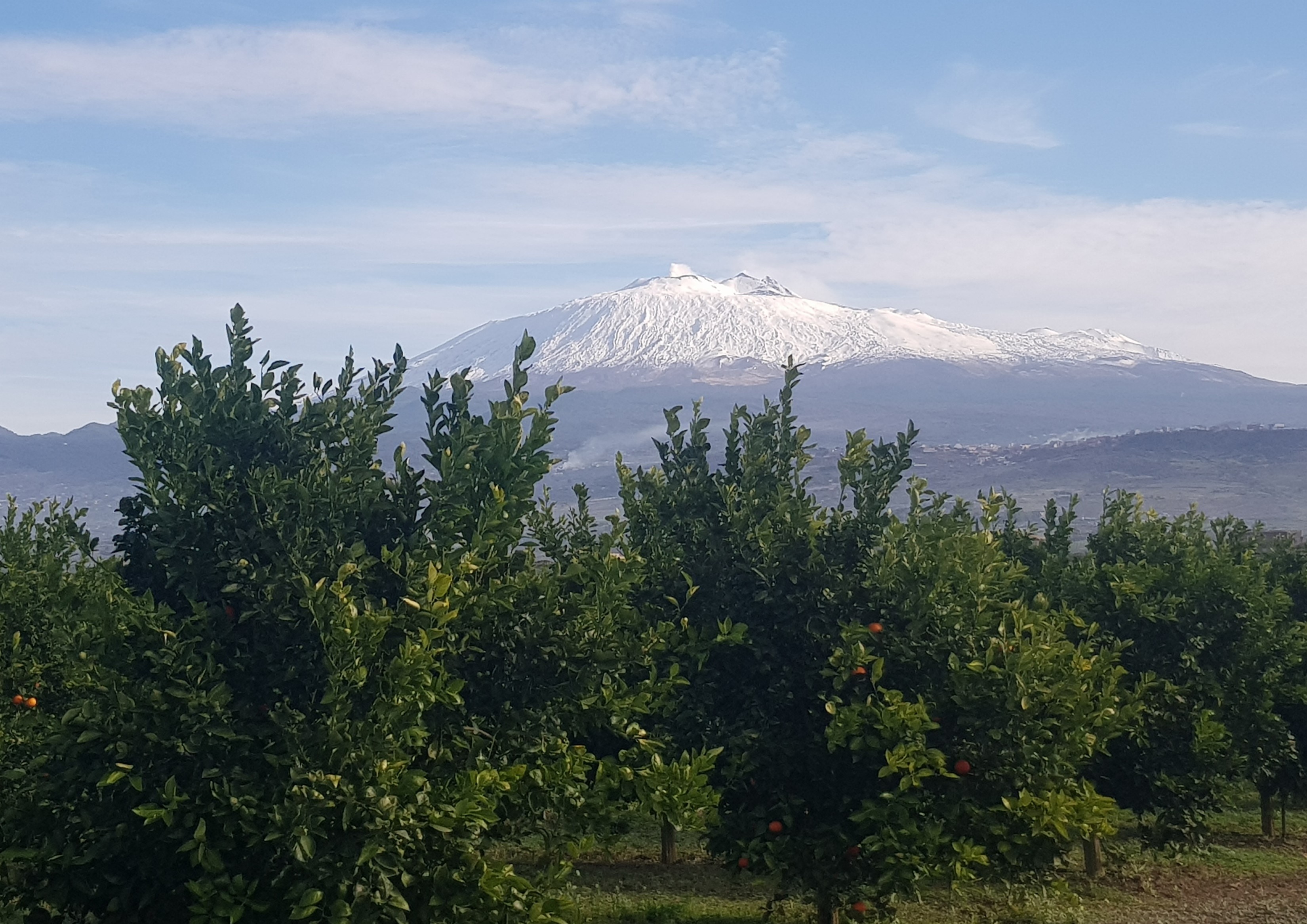 Workshop on Management, Study, and Exploitation of Genetic Resources of Fruit Tree Crops