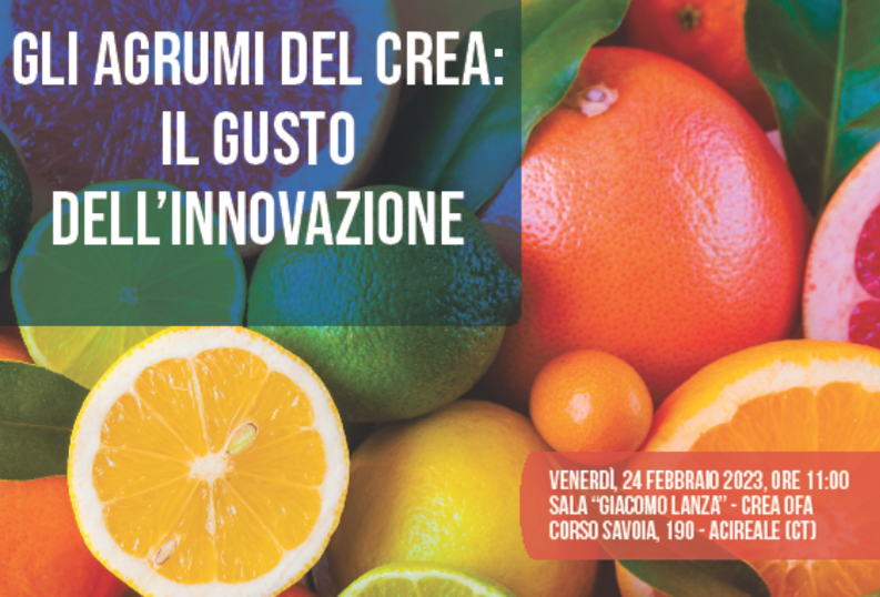 Il CREA organizza il convegno “Gli agrumi del CREA: Il gusto dell’innovazione”