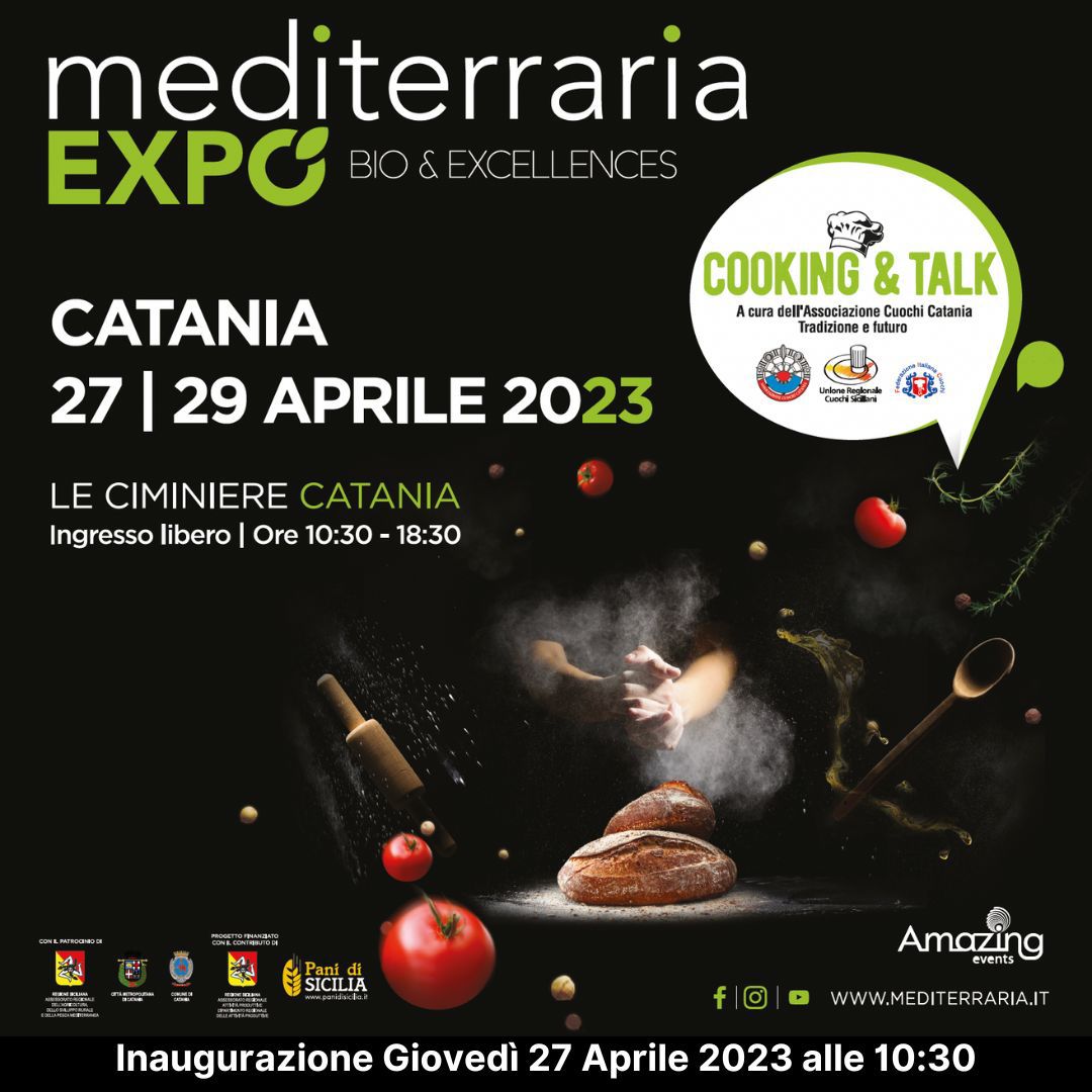 Progetto In.Mi.Qu.Oil, l’innovativo sistema di miglioramento della qualità della filiera olivicola