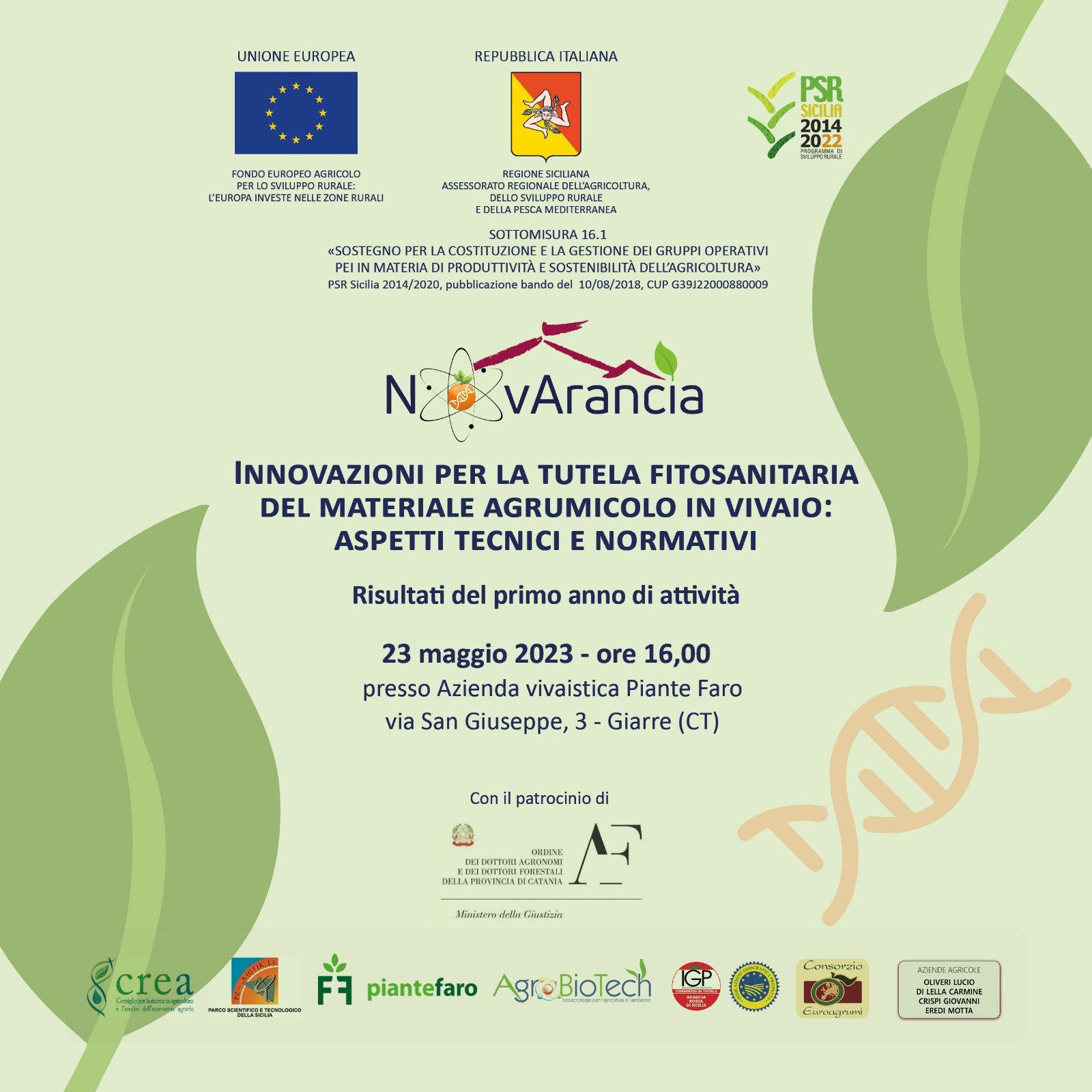 Risultati del primo anno di attività del progetto NovArancia