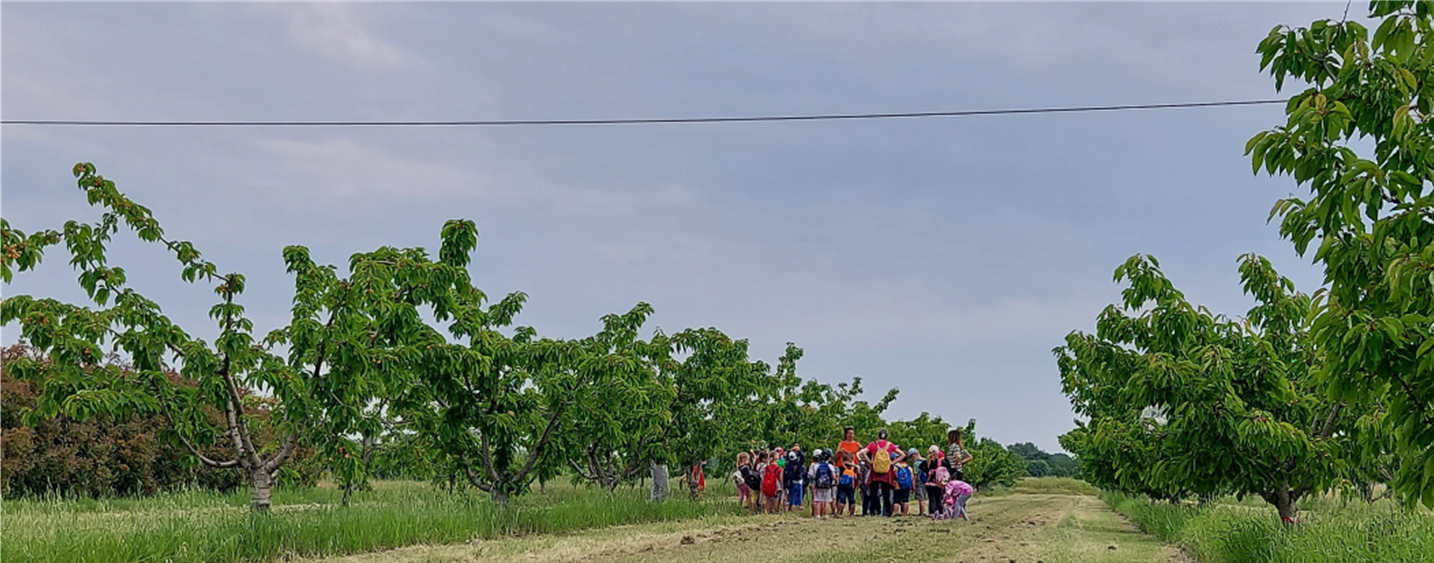 “La scuola in campo”, due giornate al CREA per gli alunni della scuola primaria