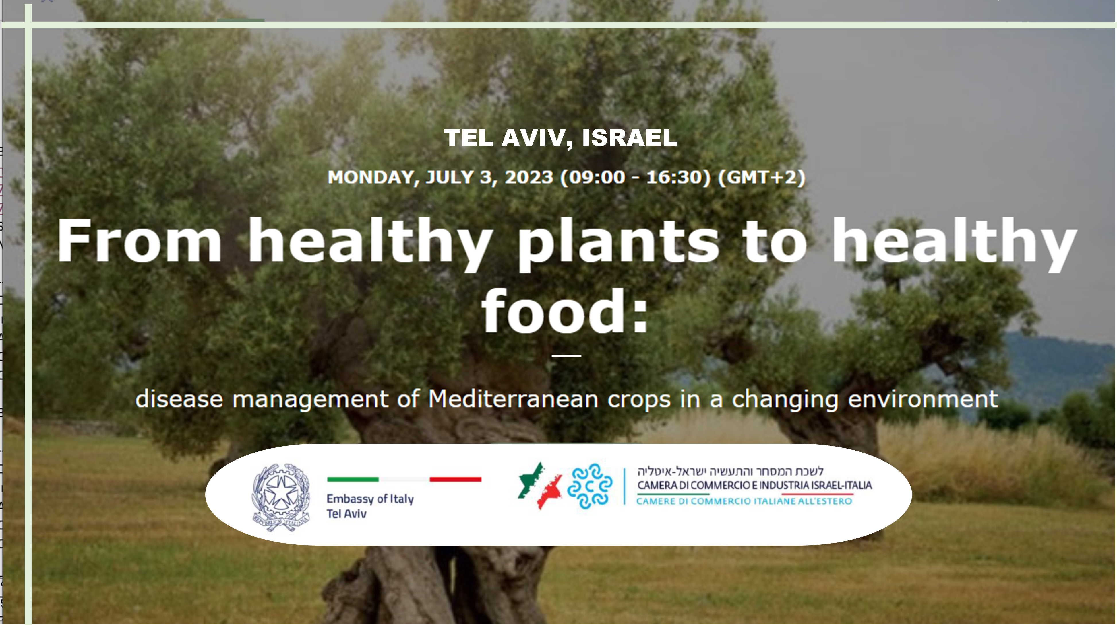 Il CREA partecipa al Workshop 