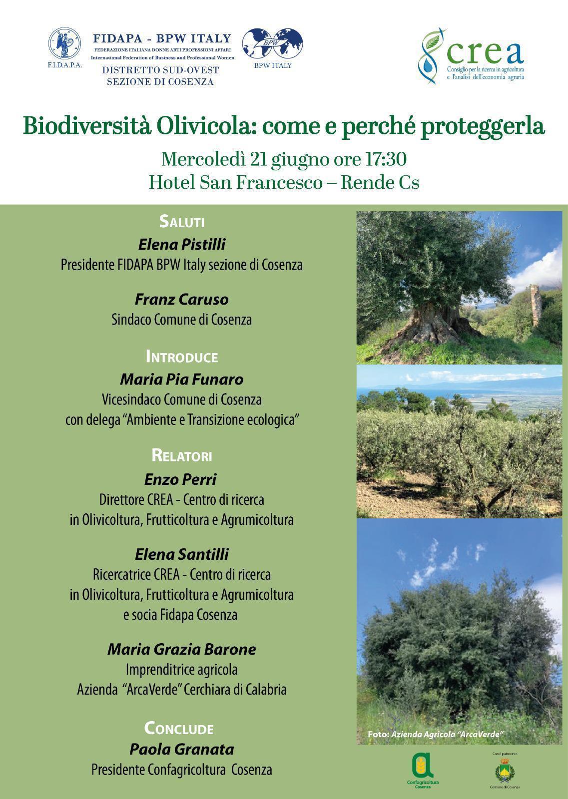 Biodiversità Olivicola: come e perché valorizzarla