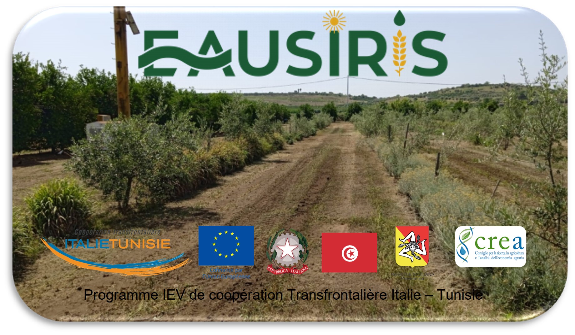 Giornata tecnica “Divulgazione delle strategie di risparmio idrico del progetto EauSIRIS e visita agli impianti dell’azienda sperimentale del CREA, Palazzelli”, 29 giugno 2023