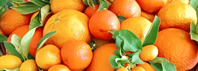 Il CREA partecipa al tavolo sulla Filiera agrumicola calabrese