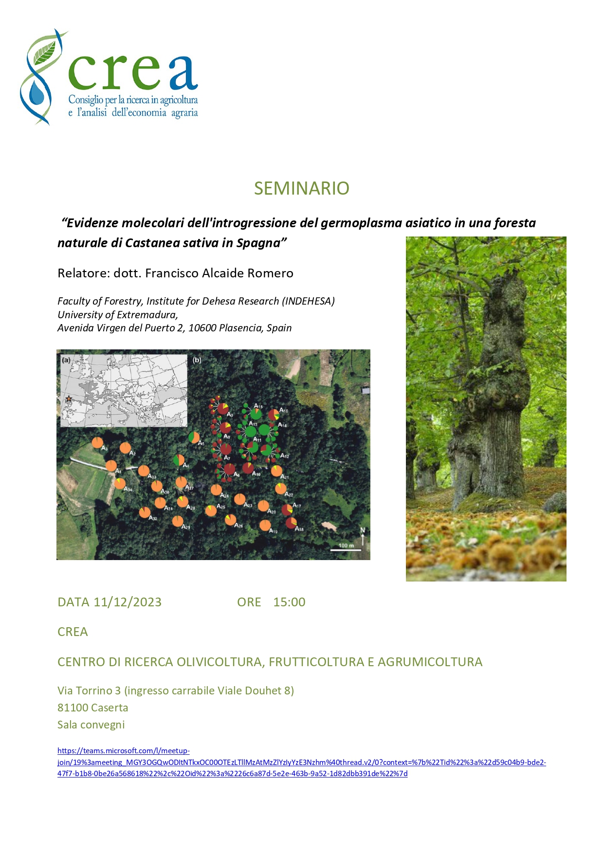 Il Centro di ricerca Olivicoltura Frutticoltura e Agrumicoltura organizza il seminario 