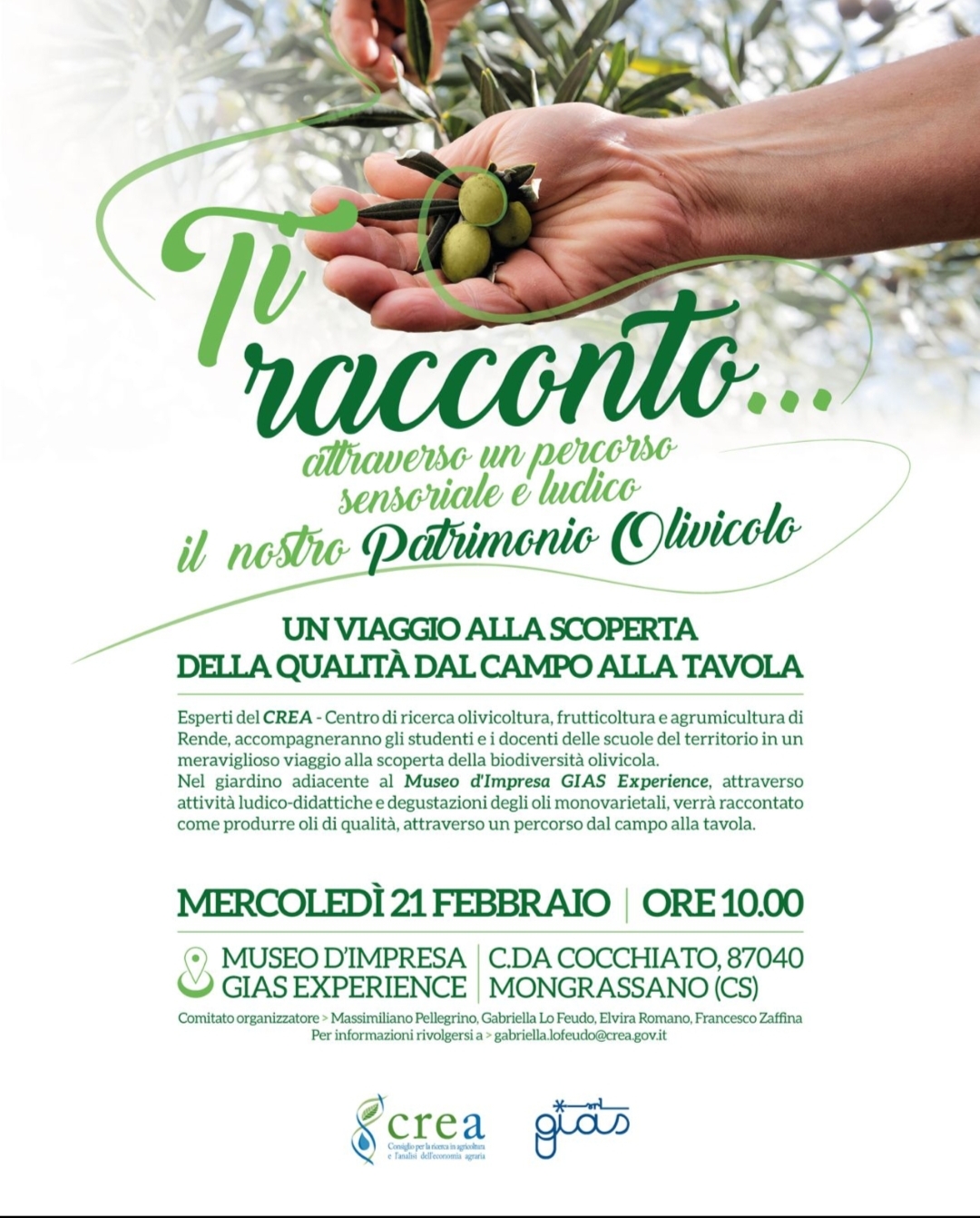 Ti racconto dal campo alla tavola il patrimonio olivicolo calabrese