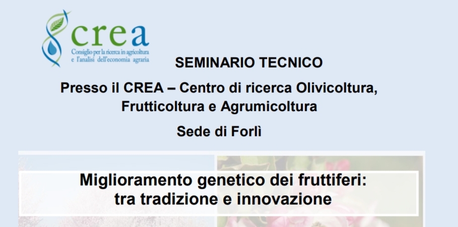 Miglioramento genetico dei fruttiferi: tra tradizione e innovazione