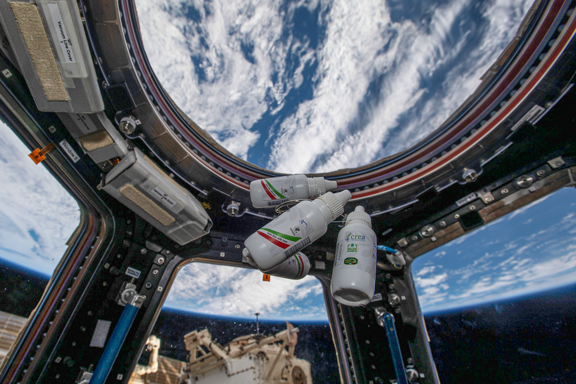 Extravergine nello spazio: la ricerca CREA al Simposio ASI