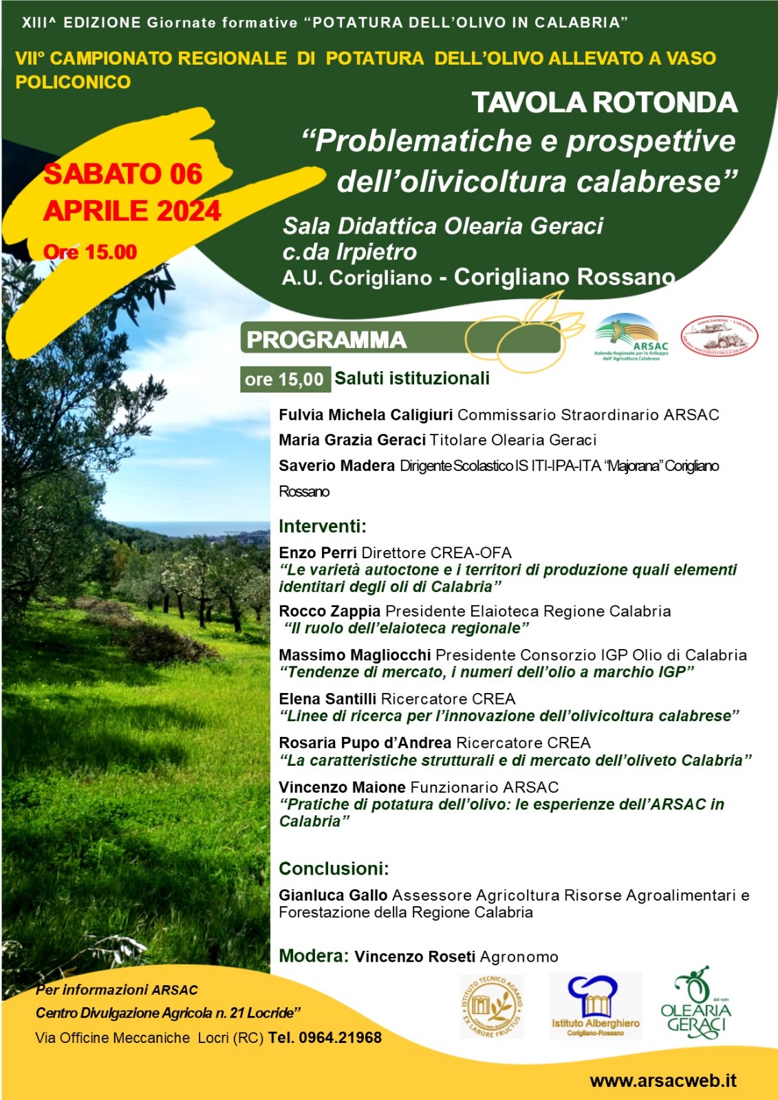 Problematiche e prospettive dell'olivicoltura calabrese - Problematiche ...