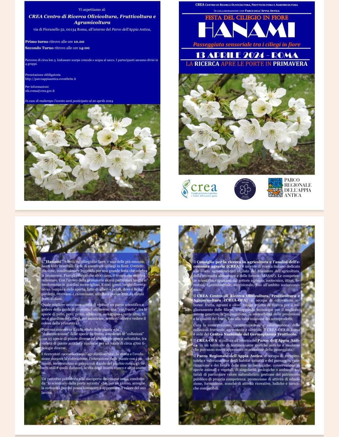 Il CREA organizza la 
