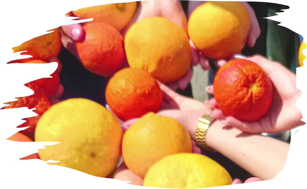 Il CREA ospita due scuole coinvolte in uno scambio culturale tra Italia e Francia