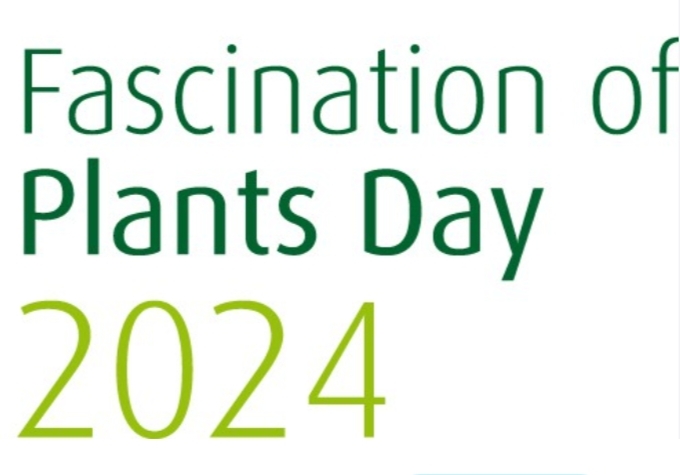 Ti racconto....la biodiversità olivicola e arborea