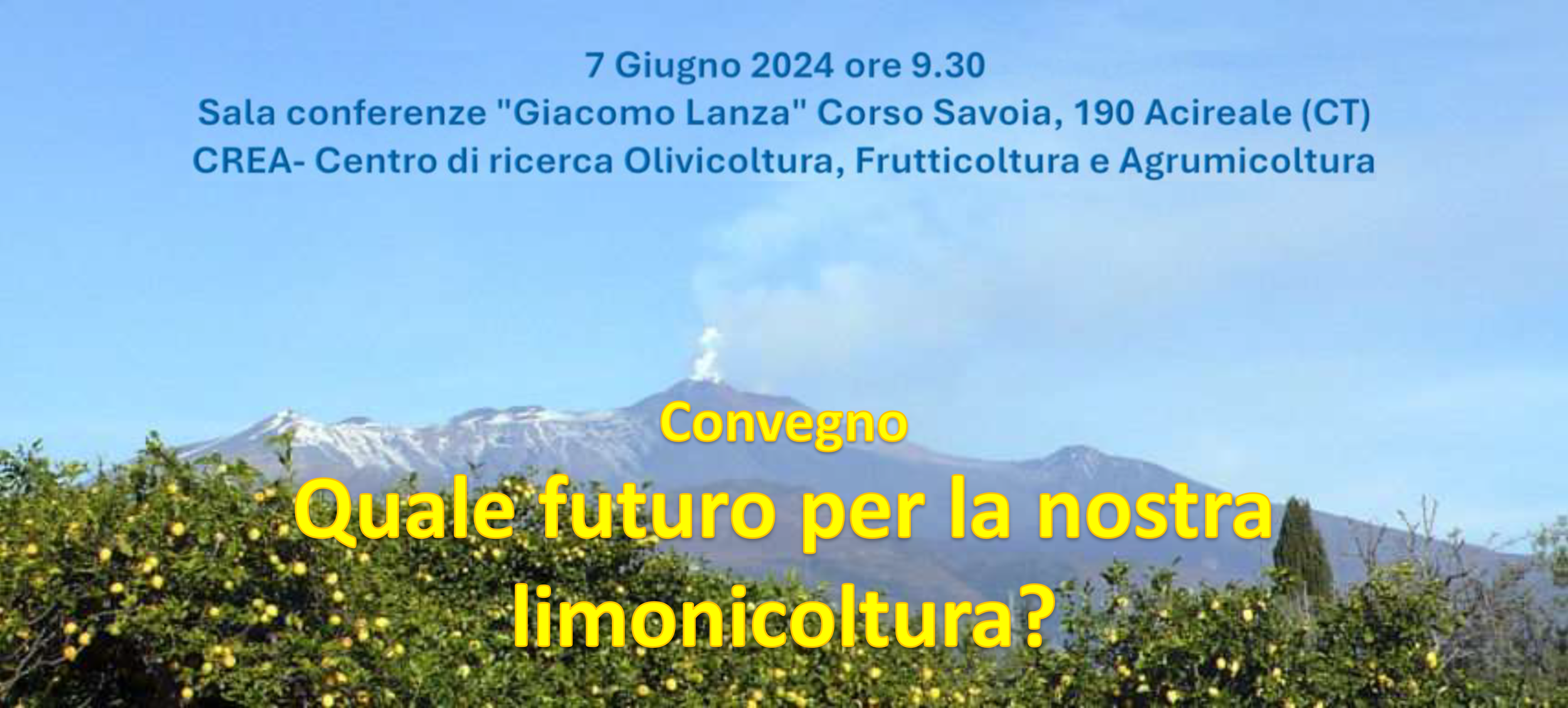 Quale futuro per la nostra limonicoltura?
