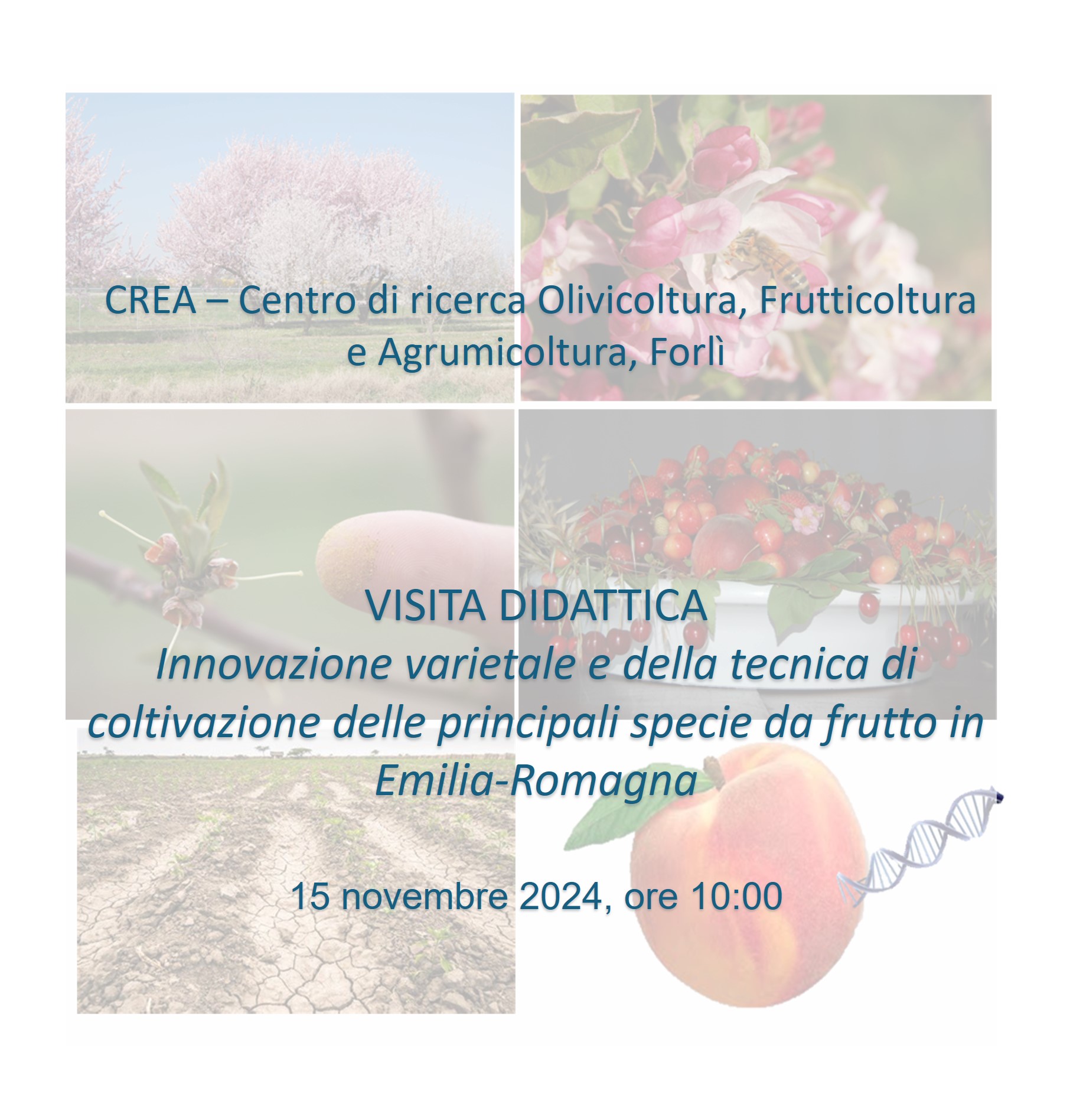 Innovazione varietale e tecniche di coltivazione per le principali specie frutticole in Emilia-Romagna