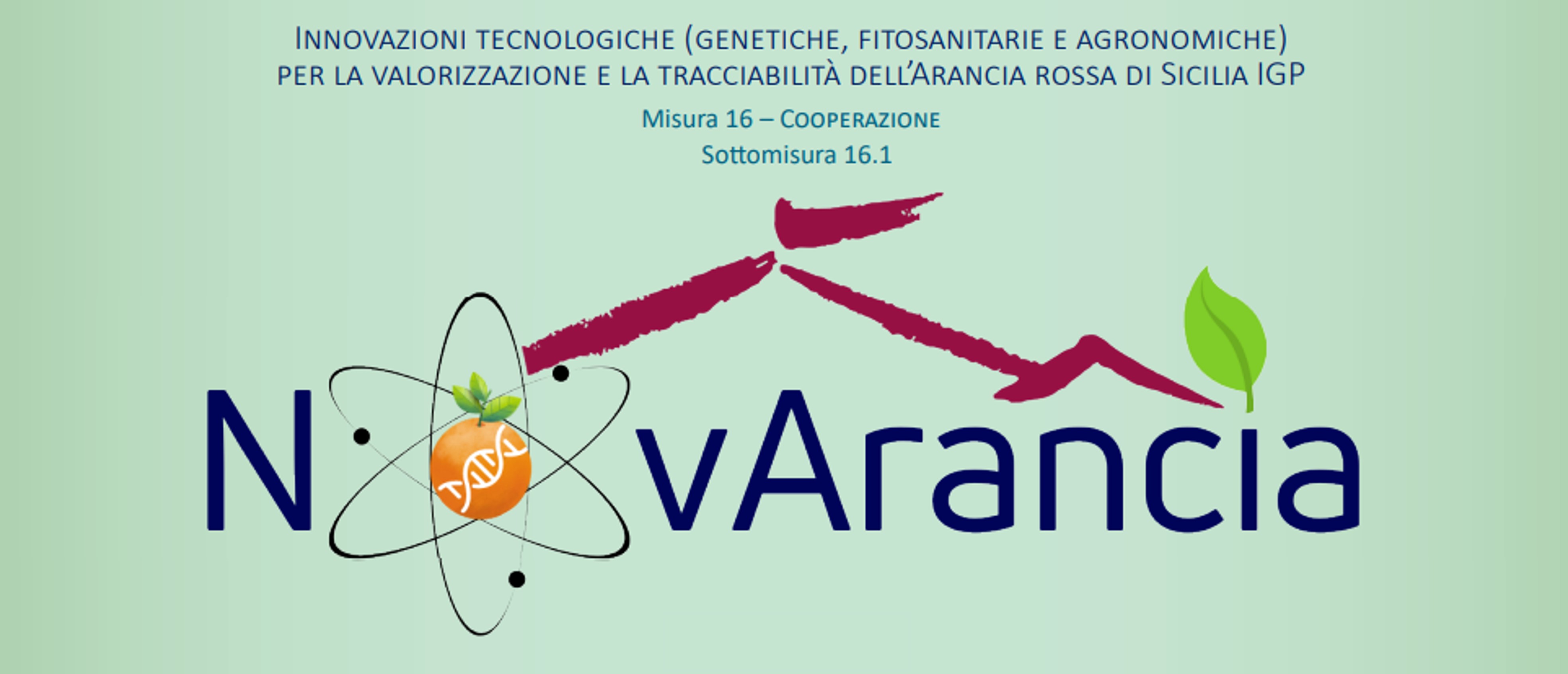 Convegno sul Progetto “NOVARANCIA Innovazioni tecnologiche per la valorizzazione e tracciabilità dell’Arancia Rossa di Sicilia”