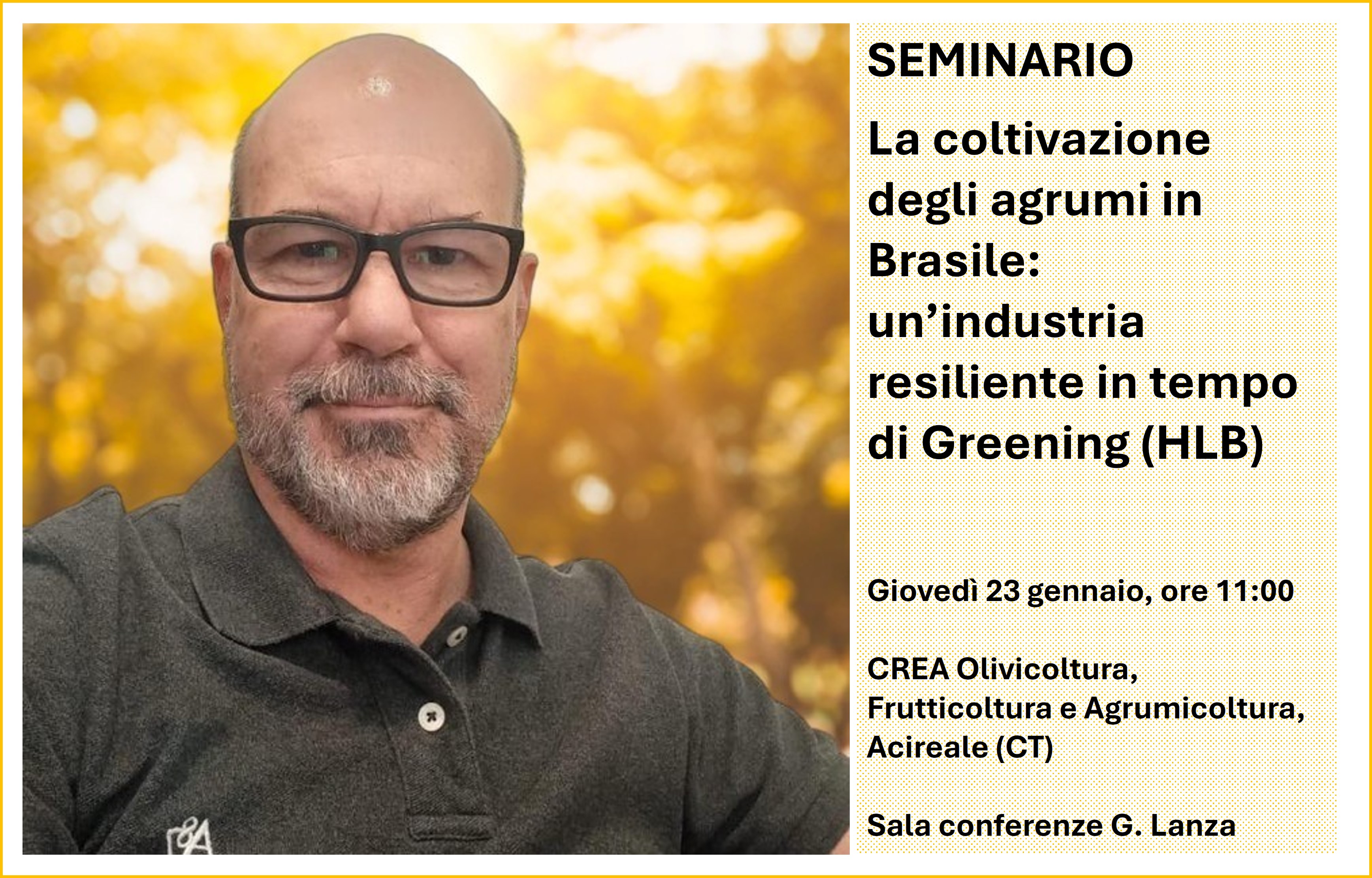 La coltivazione degli agrumi in Brasile: un’industria resiliente in tempo di Greening (HLB)
