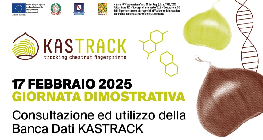 Consultazione ed utilizzo della Banca Dati KASTRACK