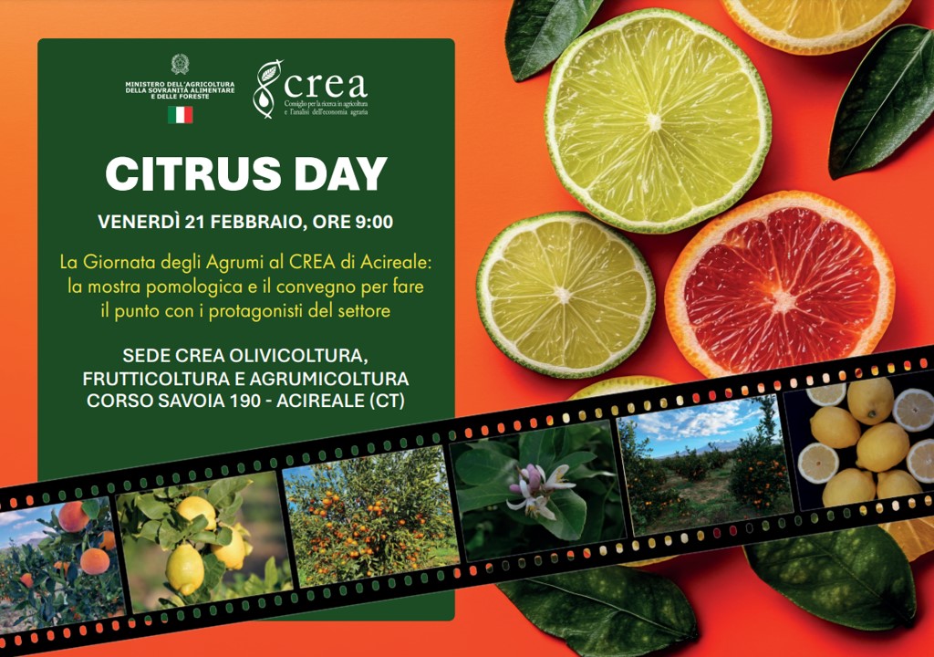 Citrus Day: la Giornata degli Agrumi al CREA di Acireale