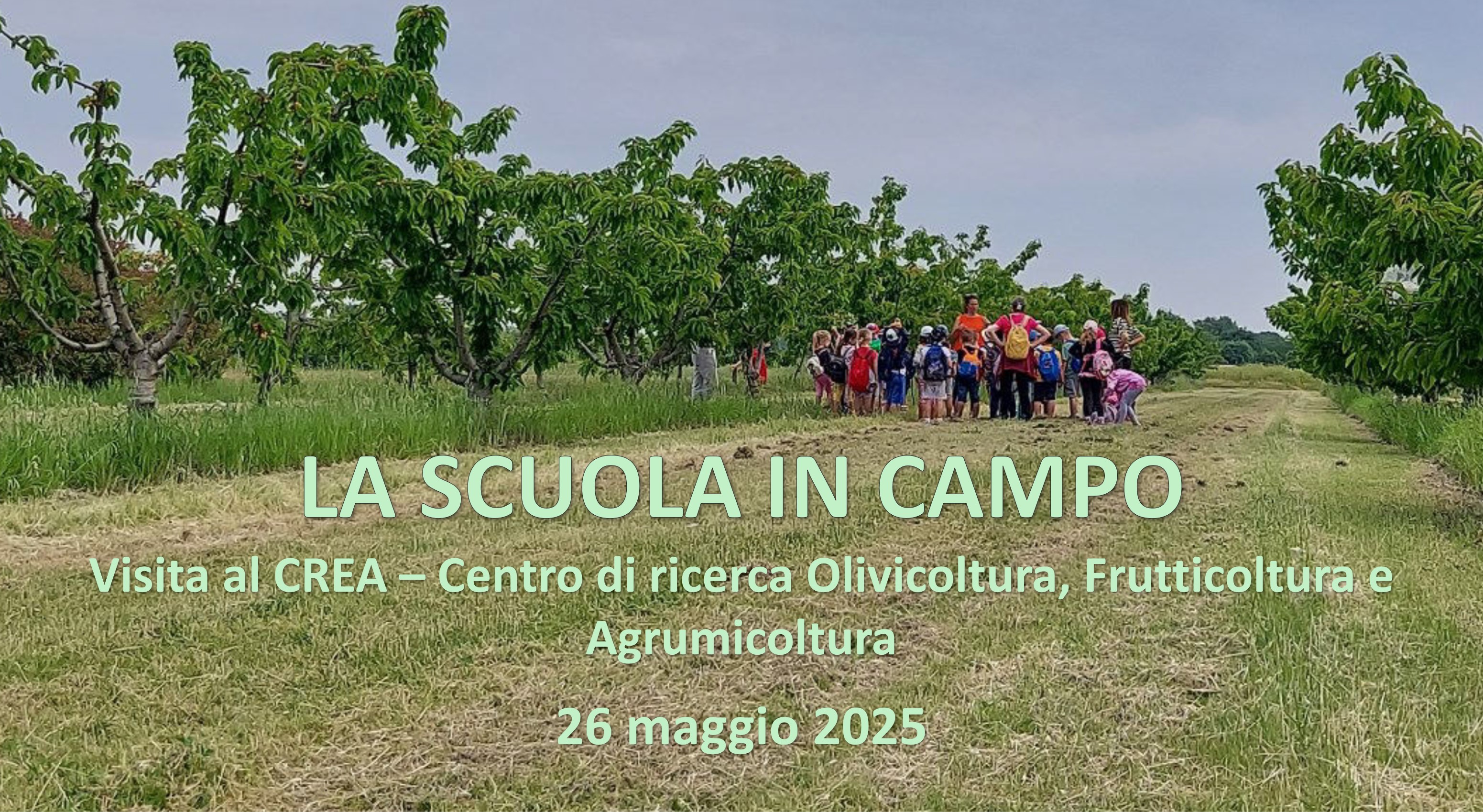 La scuola in campo: Raccogliamo i frutti dalle piante