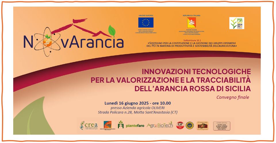 Convegno finale del Progetto “NOVARANCIA - Innovazioni tecnologiche (genetiche, fitosanitarie ed agronomiche) per la valorizzazione e tracciabilità dell’Arancia Rossa di Sicilia”