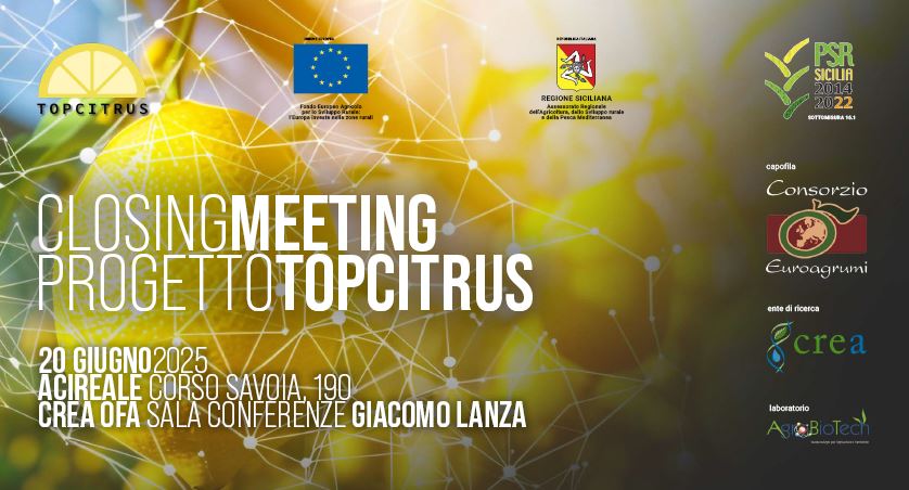 Meeting conclusivo del Progetto “TOPCITRUS - Varietà, tecniche e strategie ecosostenibili per agrumi al TOP”