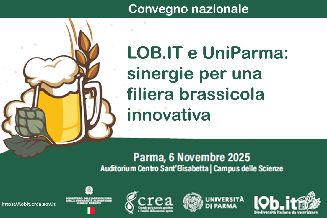 Convegno “LOB.IT e UniParma: sinergie per una filiera brassicola innovativa”