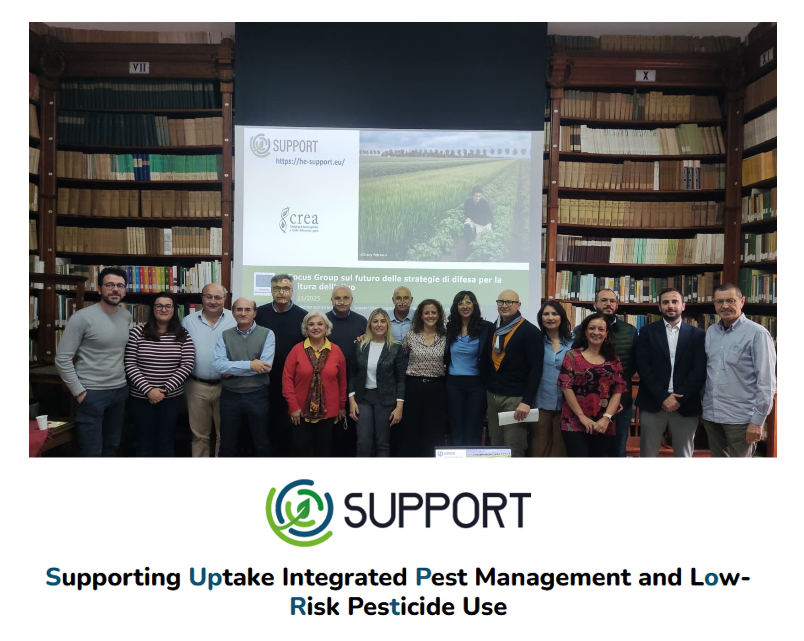 Focus group on the future of protection strategies for olive crop