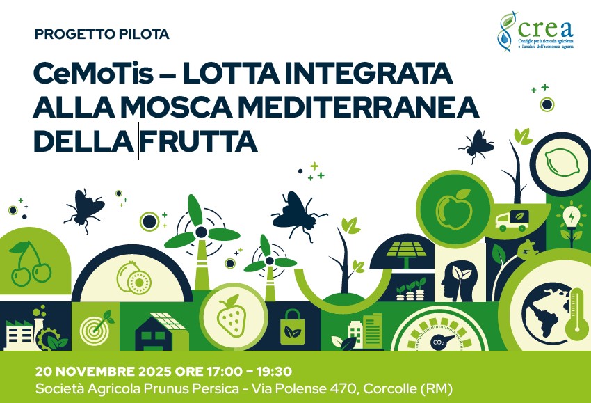 Evento conclusivo CeMoTis - Progetto pilota di lotta integrata alla mosca mediterranea della frutta