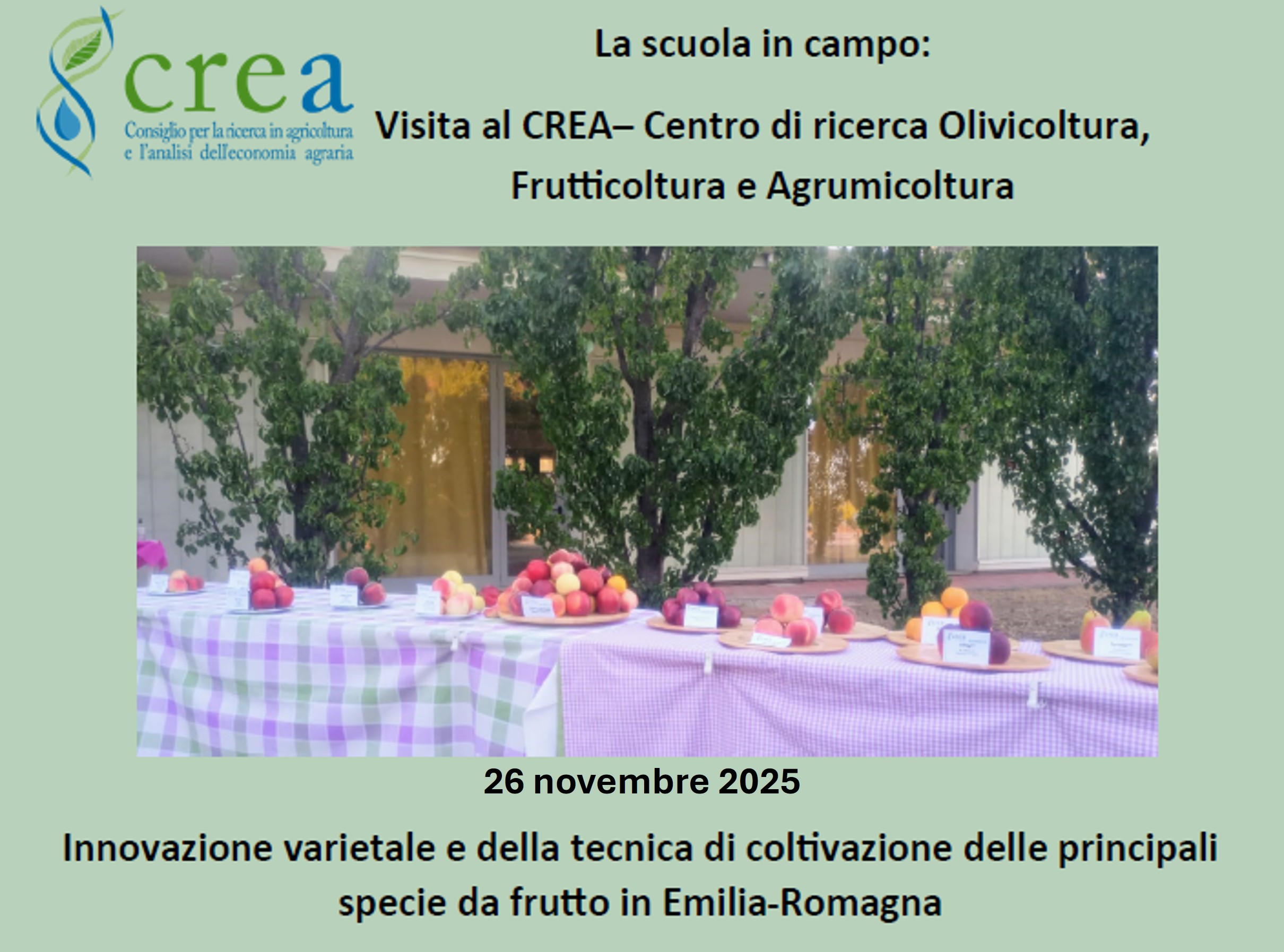 La scuola in campo: Innovazione varietale e della tecnica di coltivazione delle principali specie da frutto in Emilia-Romagna