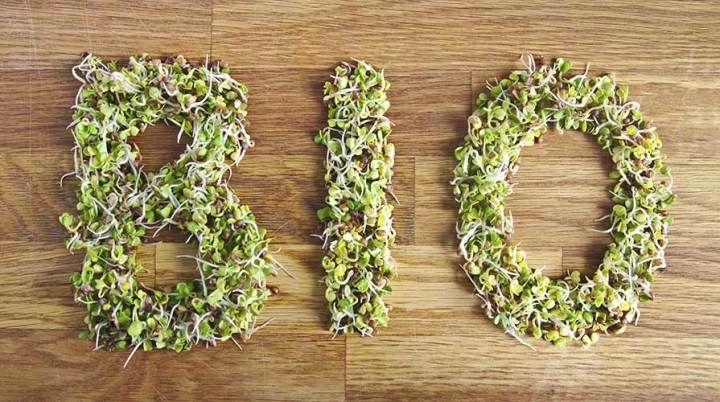 Il CREA attento alle esigenze degli operatori biologici della Sicilia