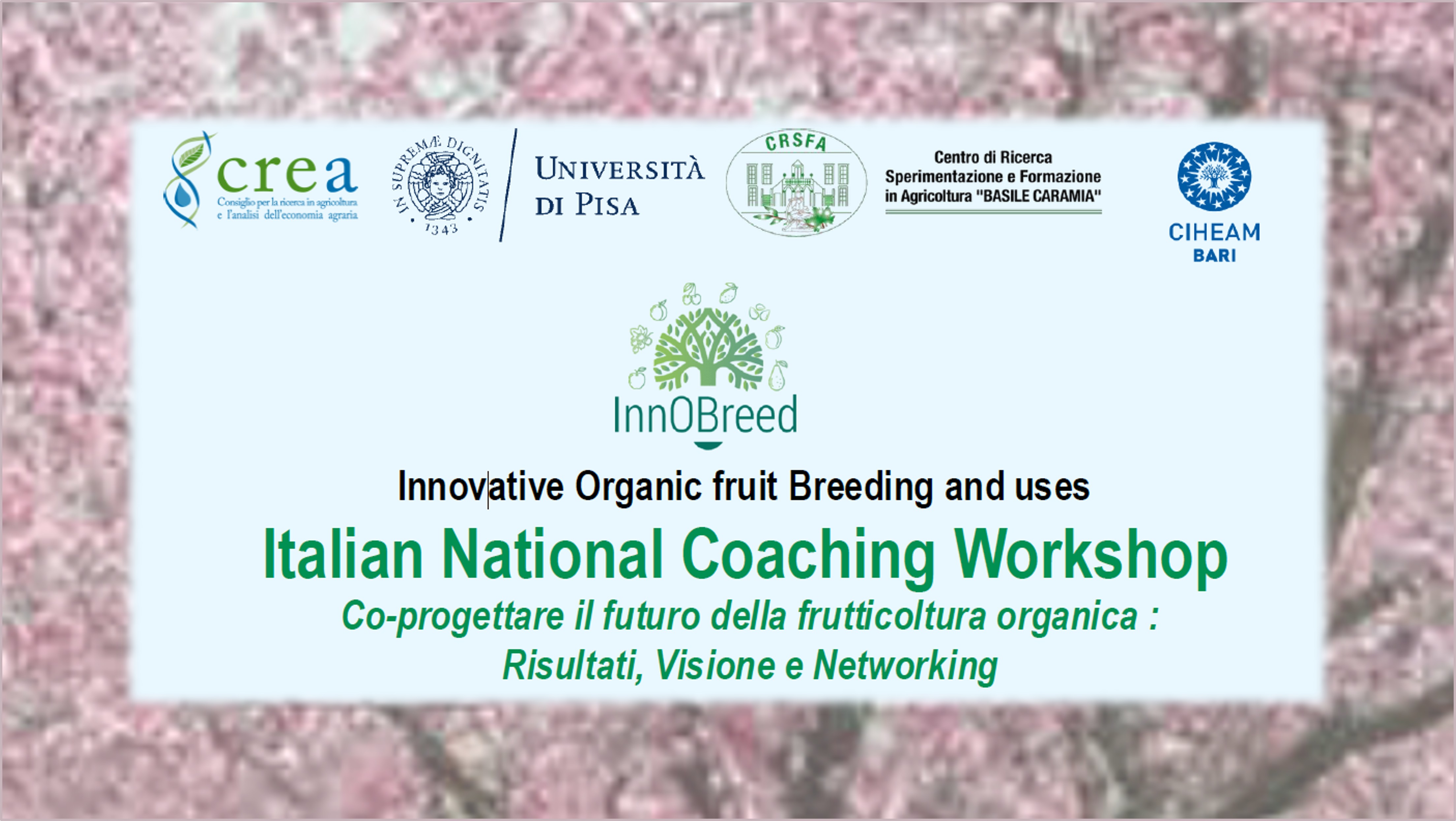 Italian National Coaching Workshop del progetto InnOBreed al CREA
