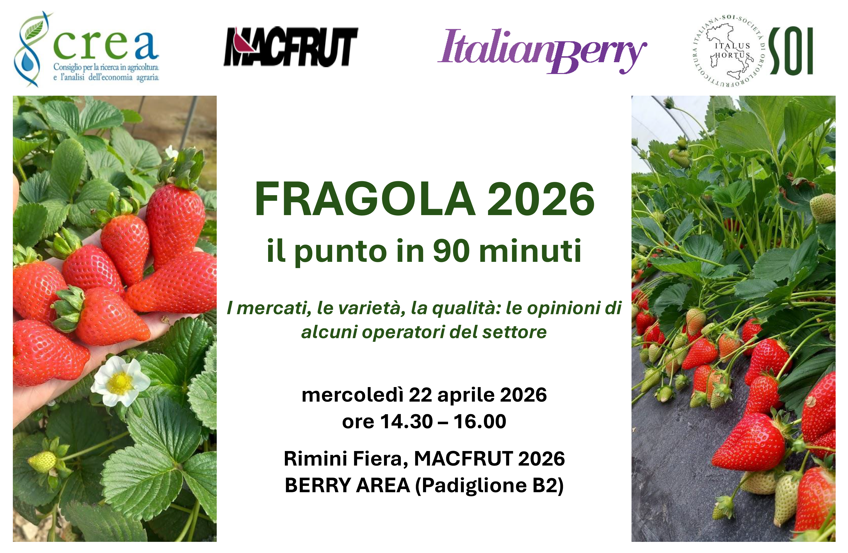 FRAGOLA 2026: il punto in 90 minuti. I mercati, le varietà, la qualità: le opinioni di alcuni operatori del settore