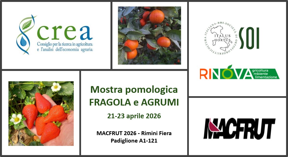 MACFRUT 2026 – Mostra Pomologica FRAGOLA e AGRUMI