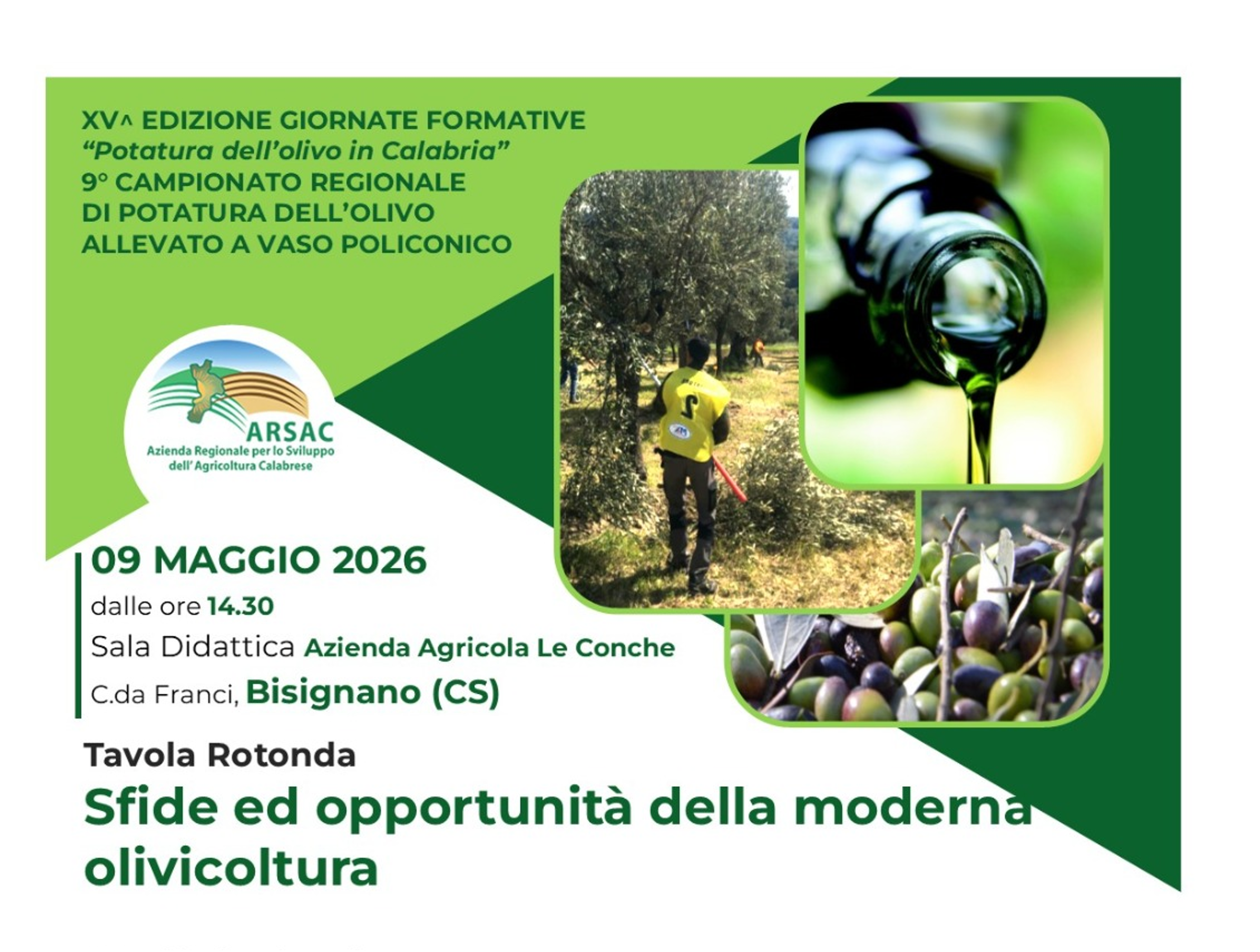 Il CREA partecipa alla Tavola rotonda “Sfide e opportunità della moderna olivicoltura”