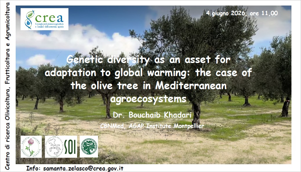 Genetic diversity as an asset for adaptation to global warming: the case of the olive tree in Mediterranean agroecosystems