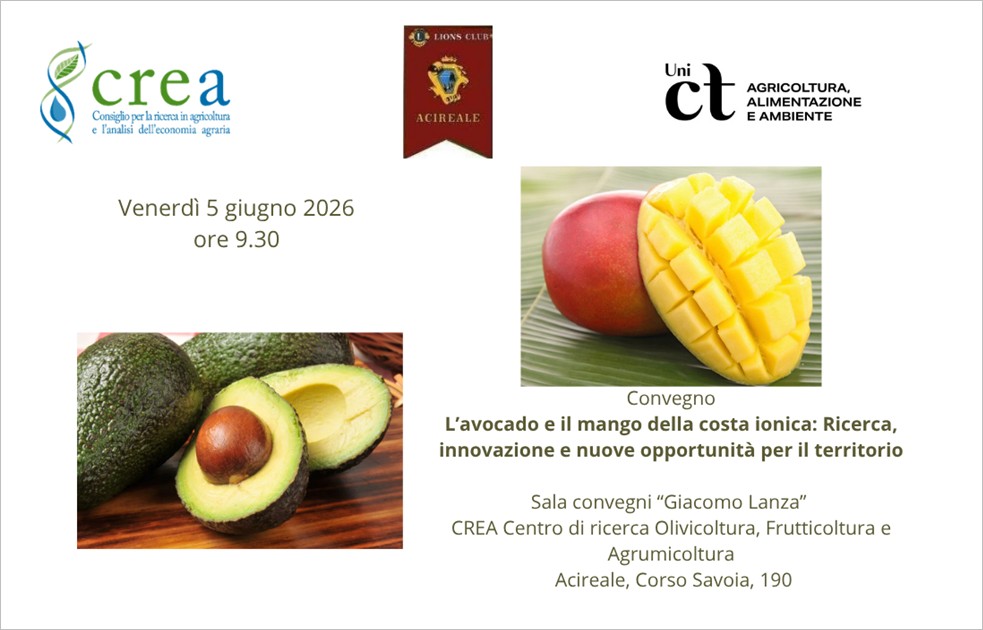 L’avocado e il mango della costa ionica: ricerca, innovazione e nuove opportunità per il territorio
