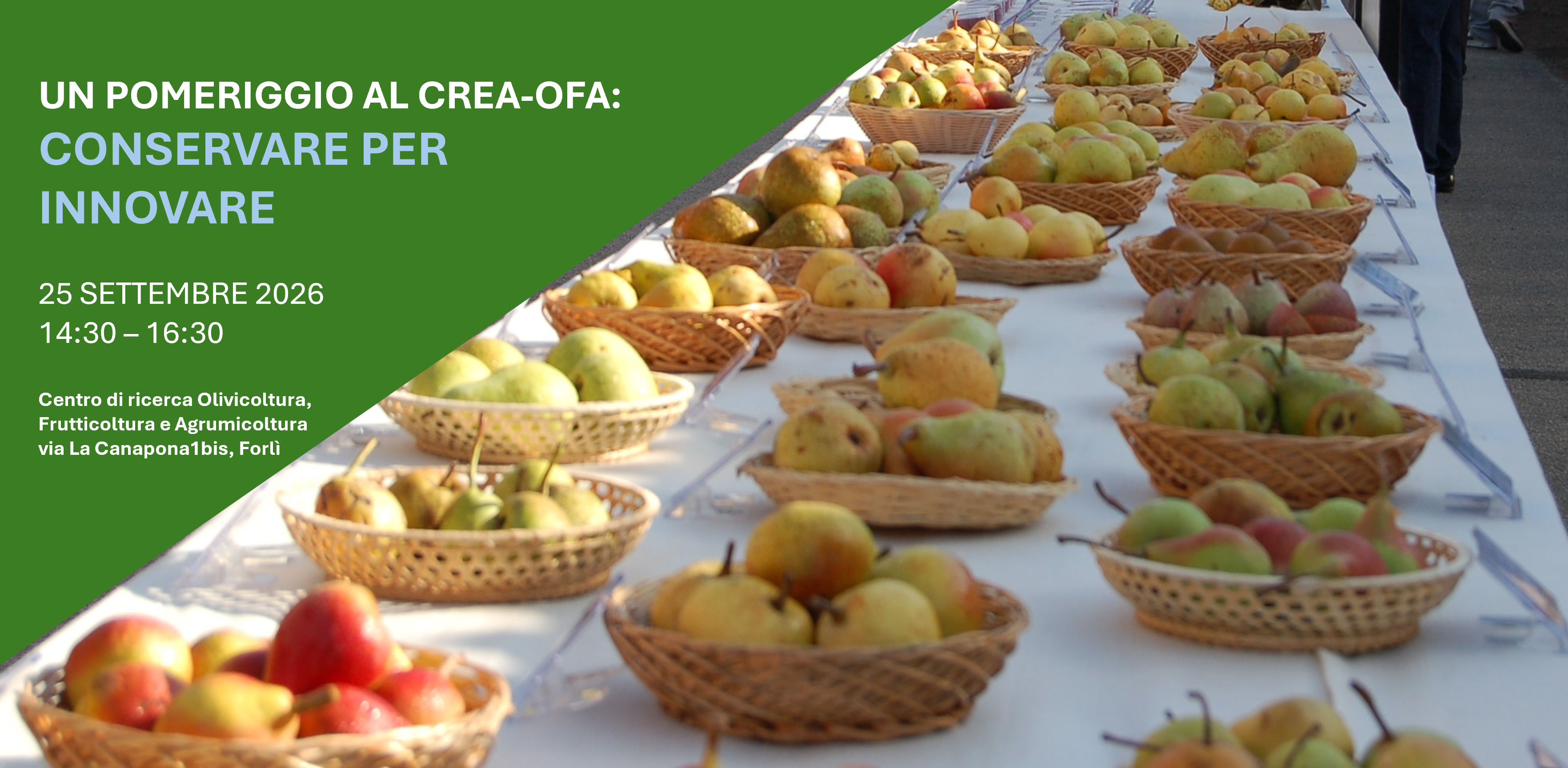 Un pomeriggio al CREA-OFA: Conservare per Innovare