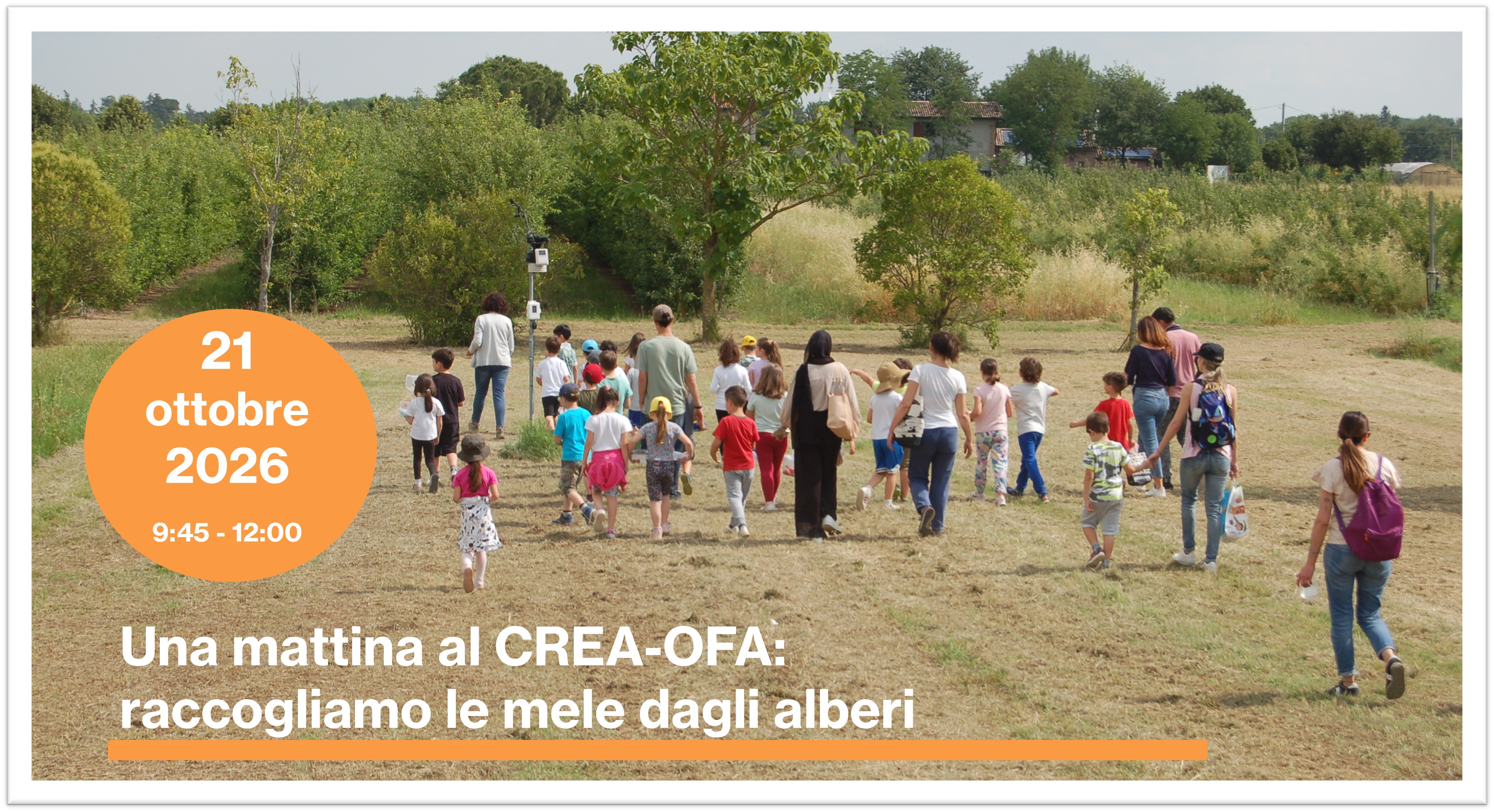 Una mattina al CREA-OFA: raccogliamo le mele dagli alberi