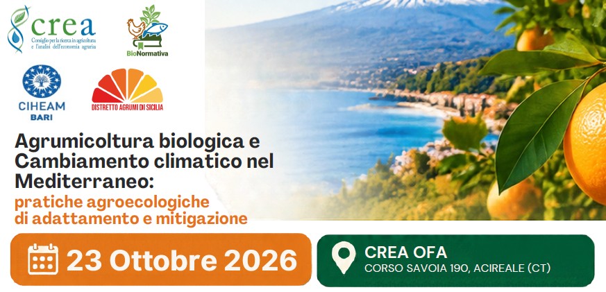 Agrumicoltura biologica e Cambiamento climatico nel Mediterraneo: pratiche agroecologiche di adattamento e mitigazione